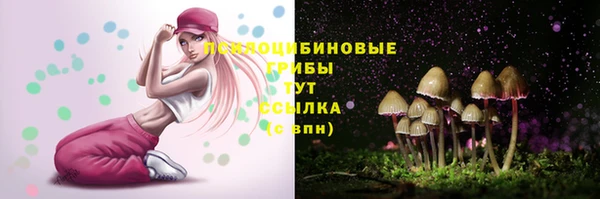 синтетический гашиш Беломорск