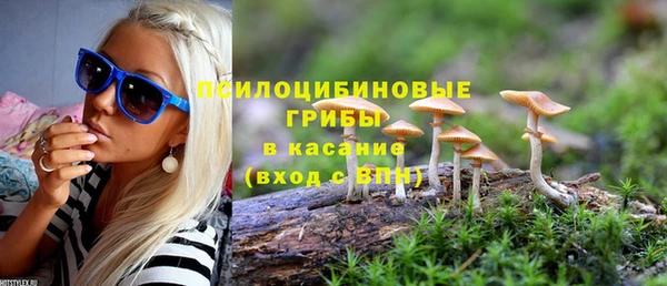 спиды Белоозёрский
