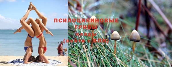 метамфетамин Богородицк