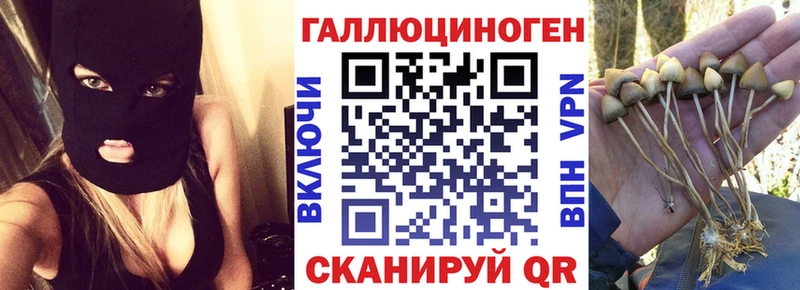 Псилоцибиновые грибы GOLDEN TEACHER  Богородицк 