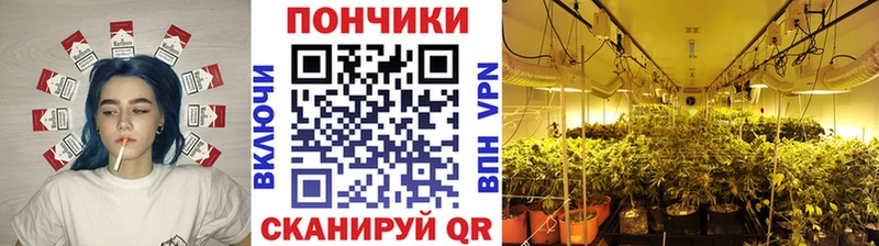 цена наркотик  Богородицк  Каннабис сатива 
